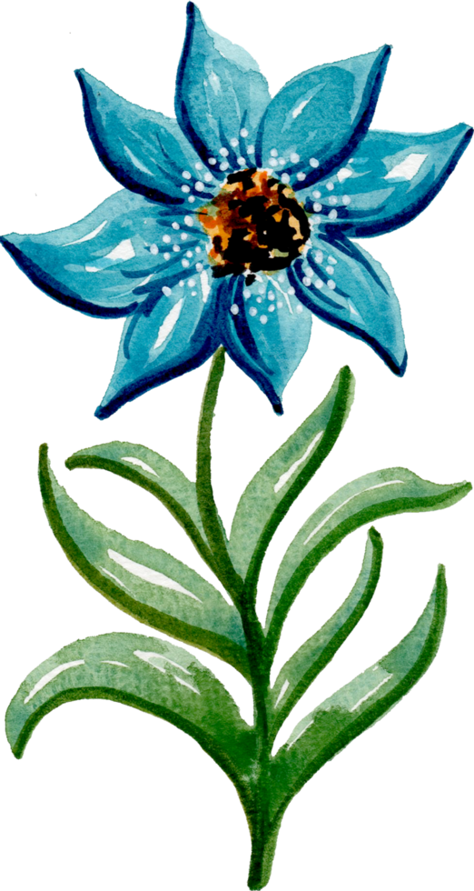 handgeschilderde aquarel bloem element voor illustratie set collectie png