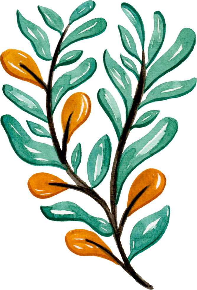 handgemaltes aquarellblumenelement für illustrationssatzsammlung png