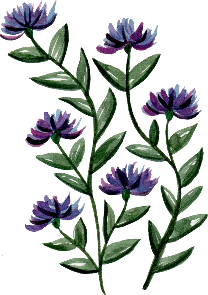 handmålade akvarell blomma element för illustration set samling png