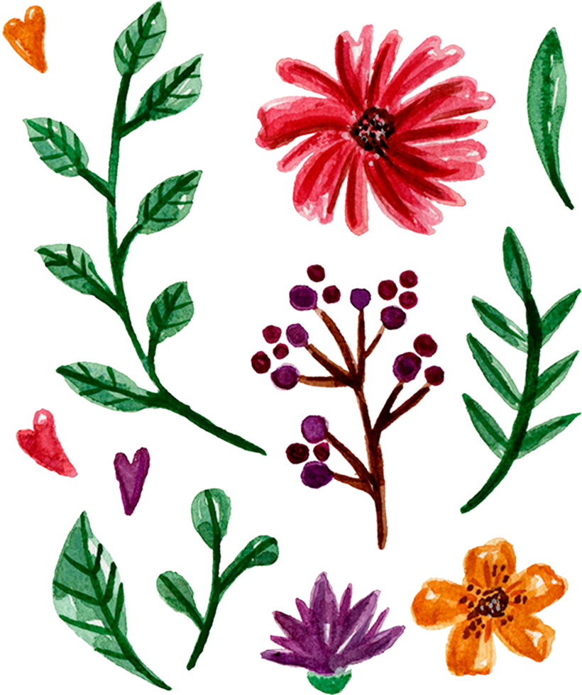 handgemaltes aquarellblumenelement für illustrationssatzsammlung png