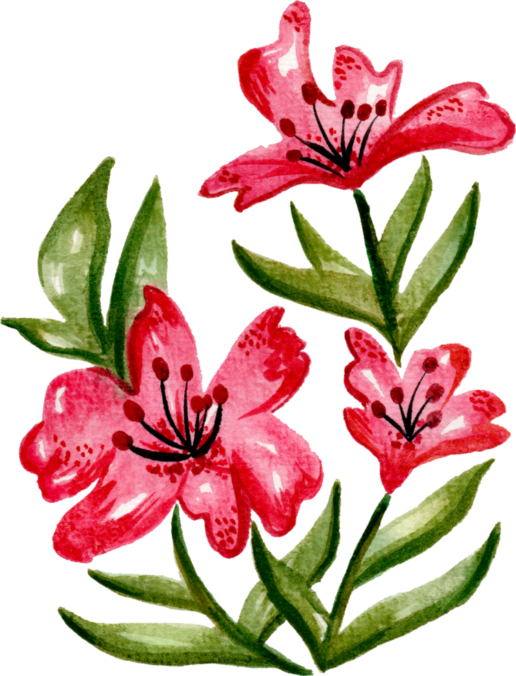 handmålade akvarell blomma element för illustration set samling png