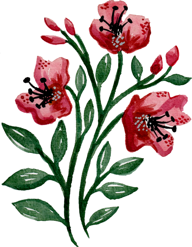 handgemaltes aquarellblumenelement für illustrationssatzsammlung png