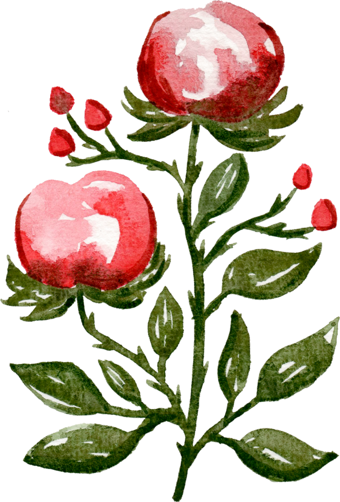 handmålade akvarell blomma element för illustration set samling png