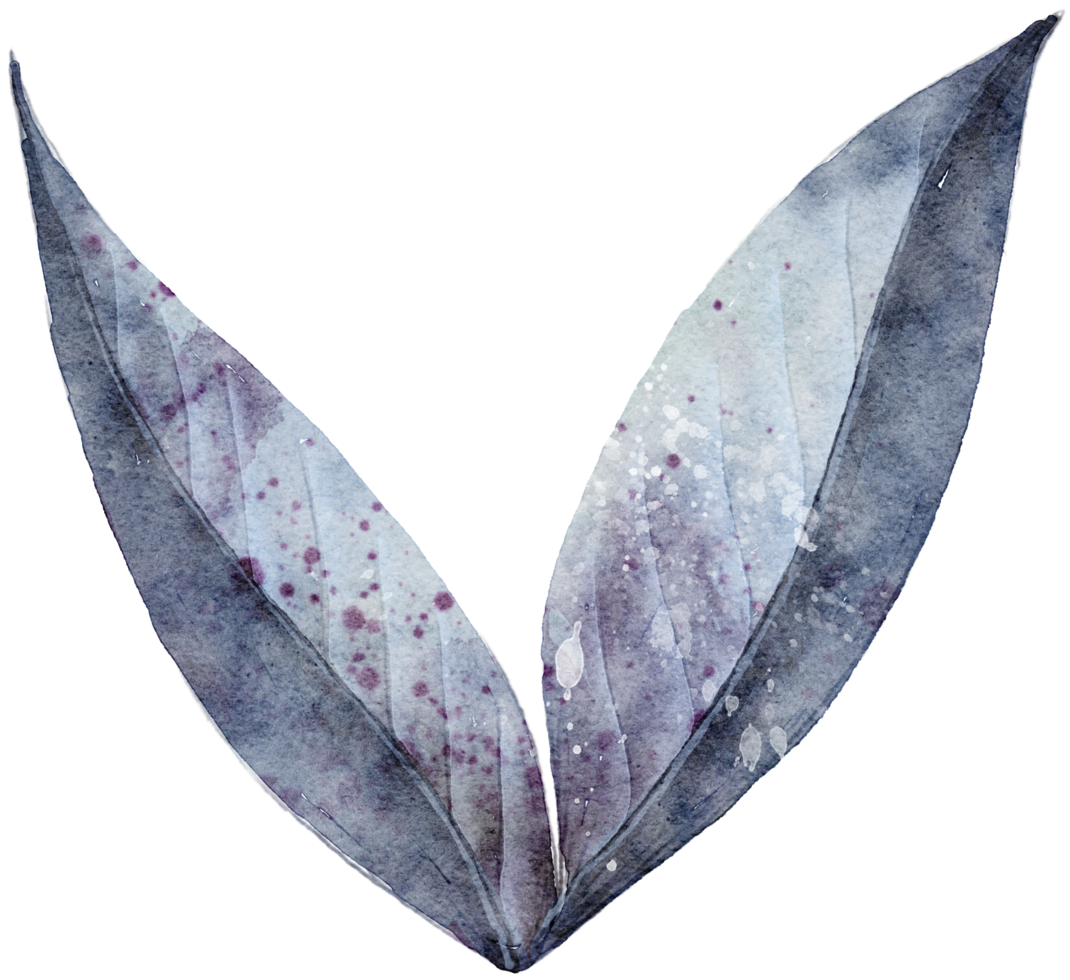 Leaf watercolor transparency. png