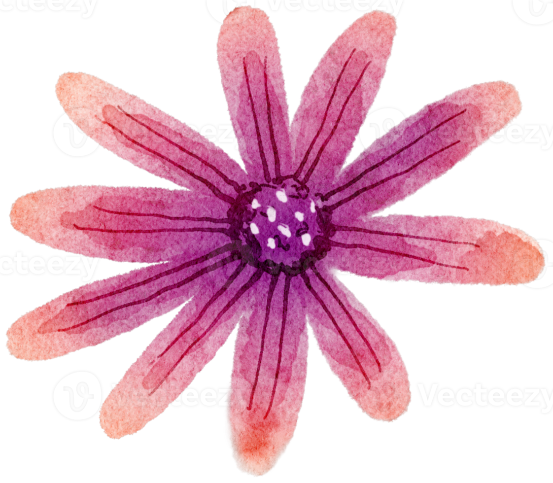 Flower watercolor transparent. 10286018 PNG