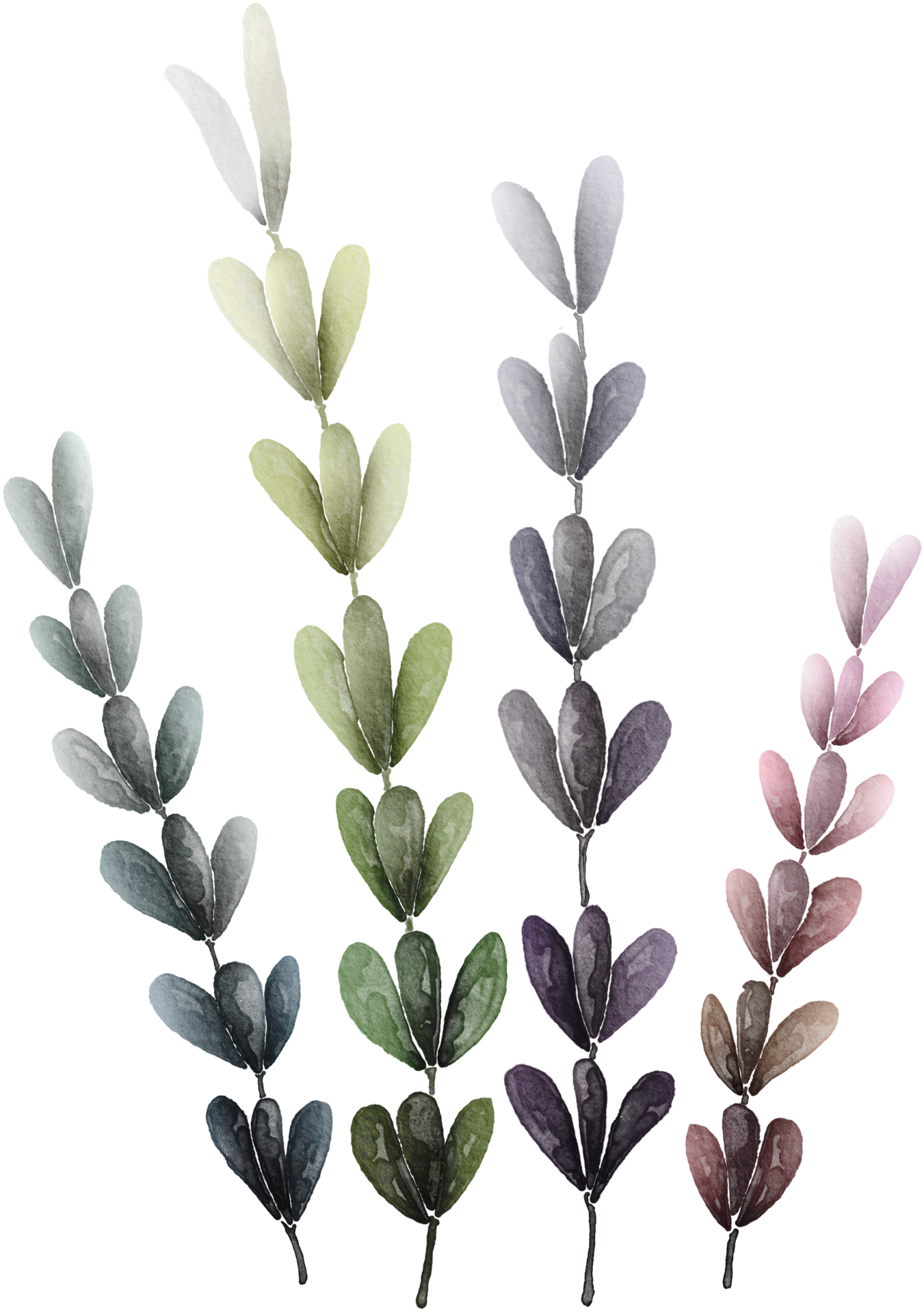 Leaf watercolor transparent. 10286023 PNG