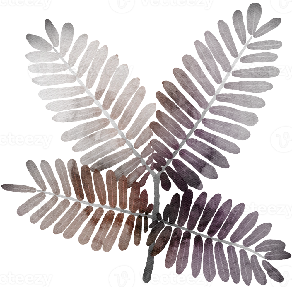 leaf watercolor transparency clipart. png