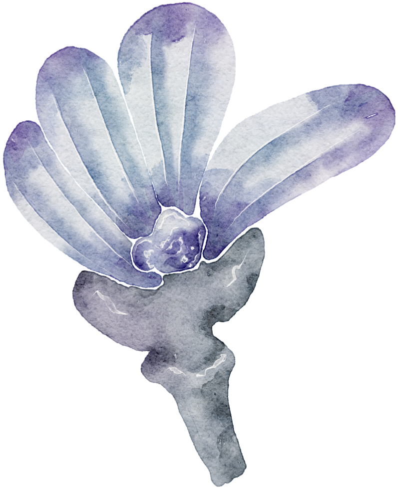 Flower watercolor transparency. png