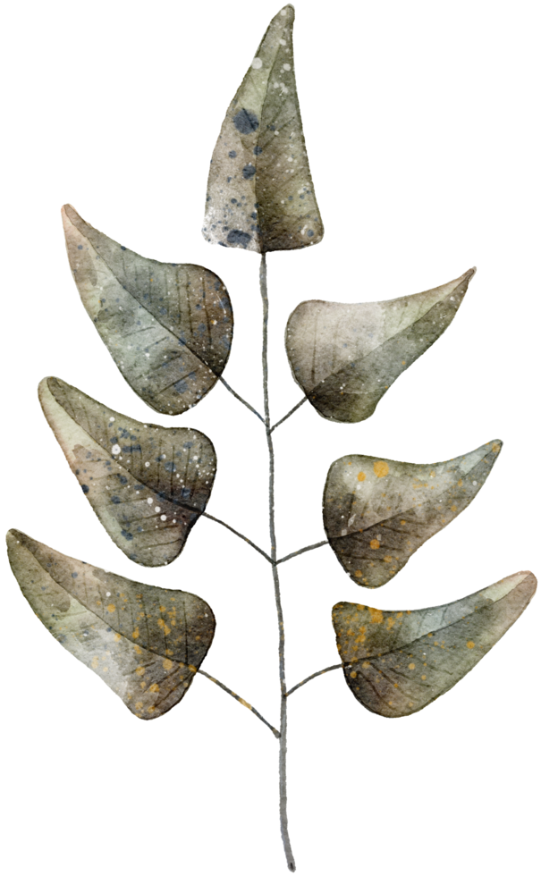Leaf watercolor transparency. png