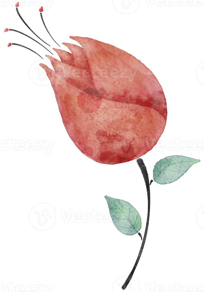 Flower watercolor transparent. png