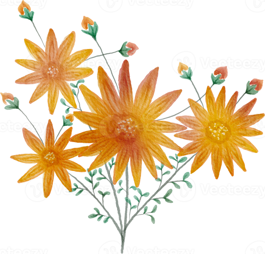 Flower watercolor transparent. 10286065 PNG