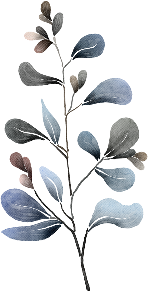 Leaf watercolor transparent. png