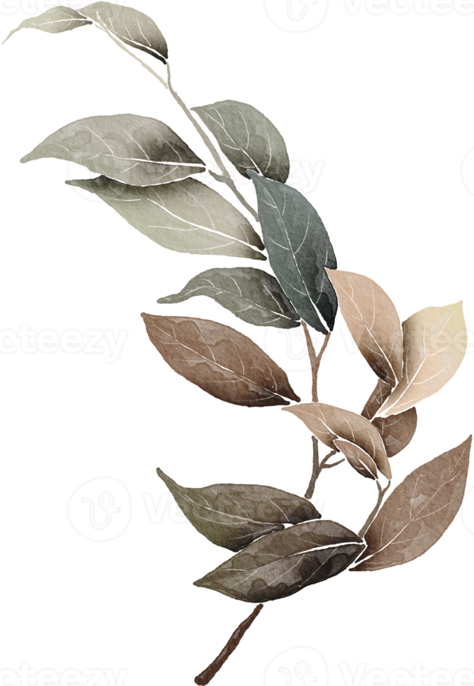 Leaf watercolor transparent. png