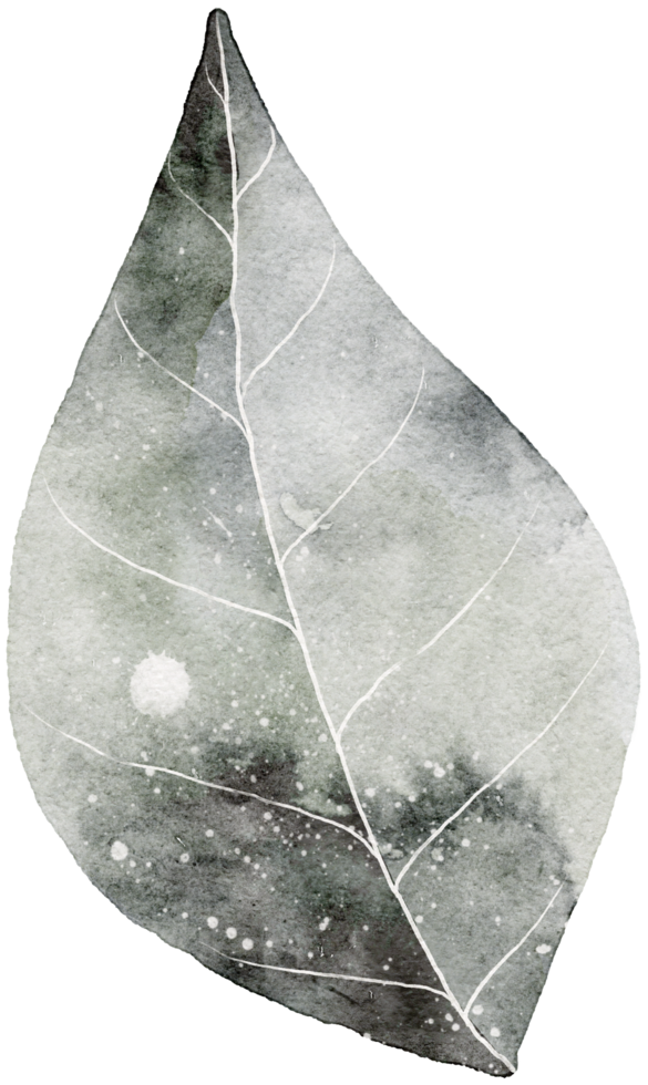 Leaf watercolor transparency. png