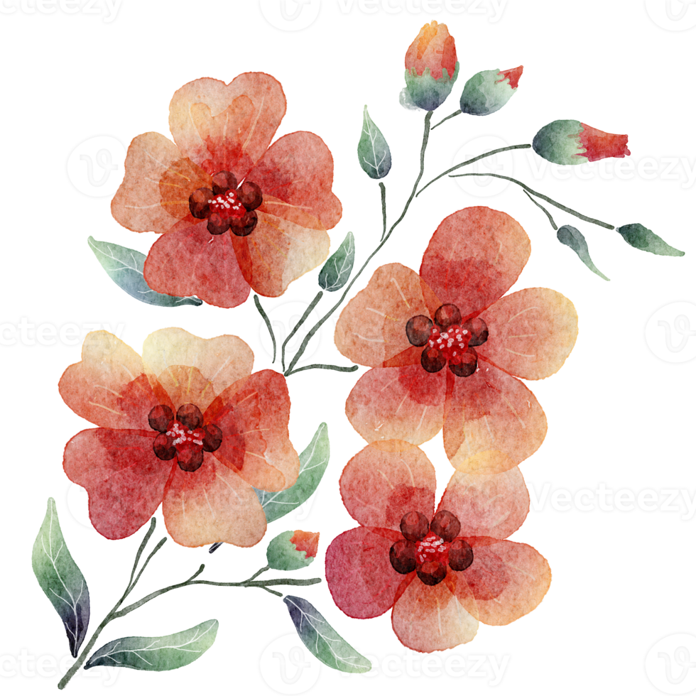 Flower watercolor transparent. png