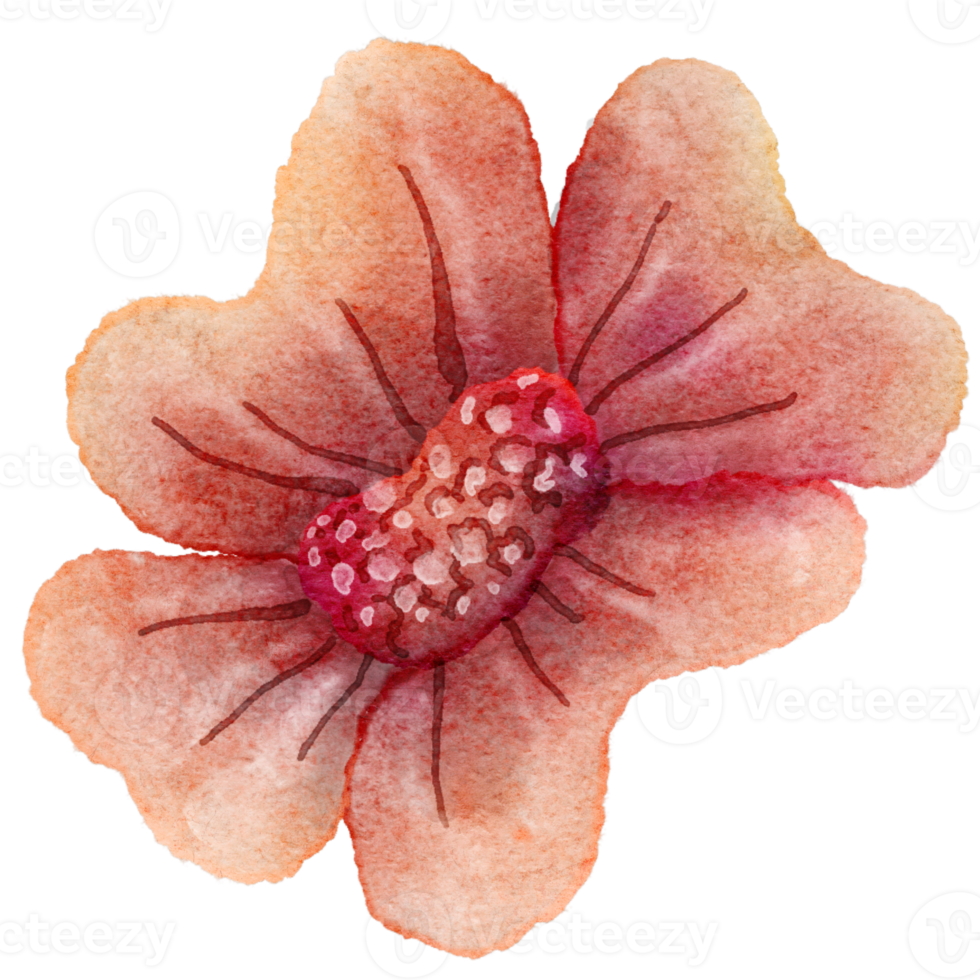 Flower watercolor transparent. 10286101 PNG