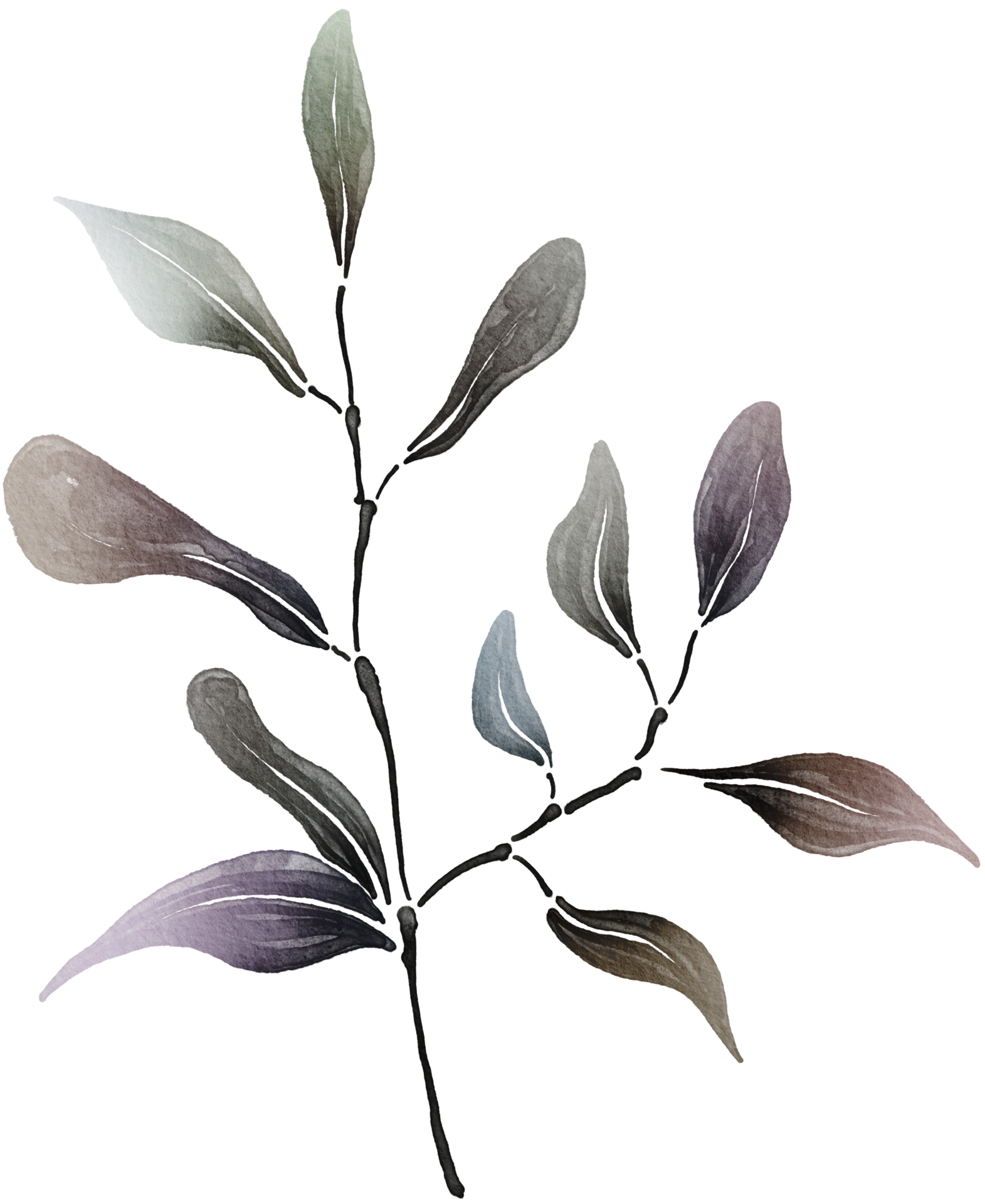 Leaf watercolor transparent. 10286114 PNG