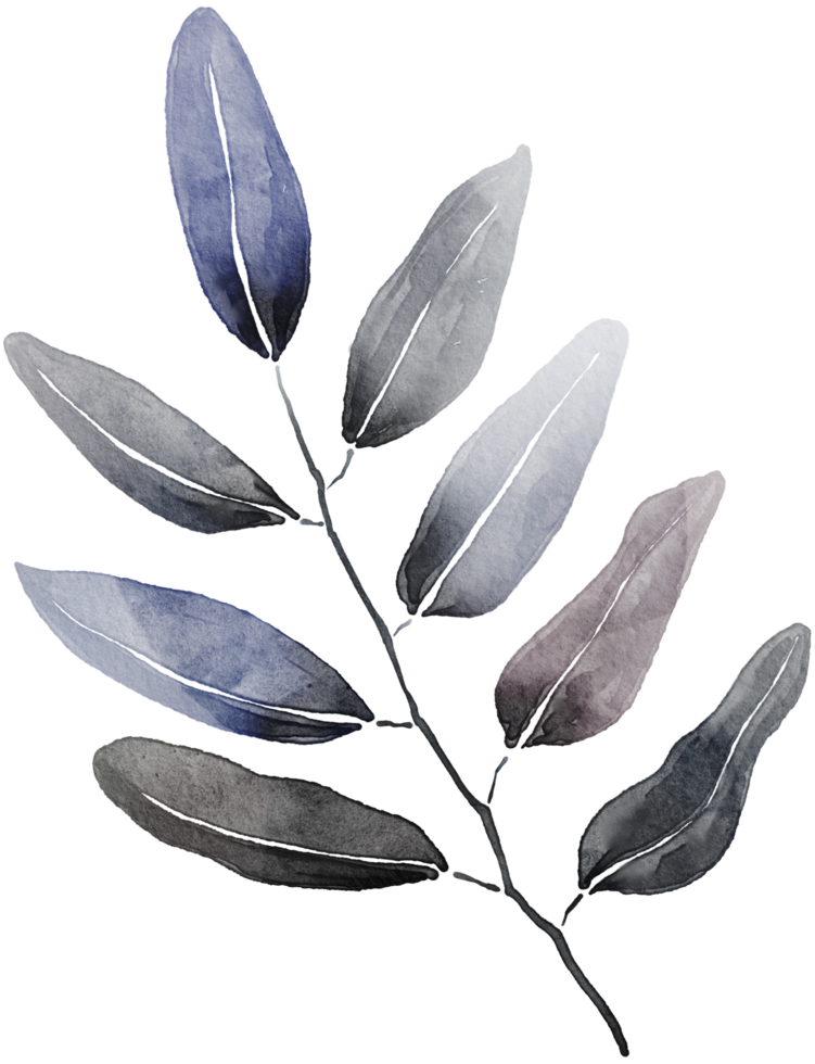 Leaf watercolor transparent. png