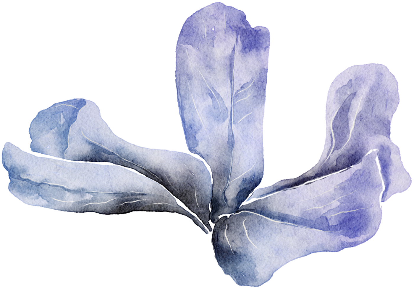 Flower watercolor transparency. png