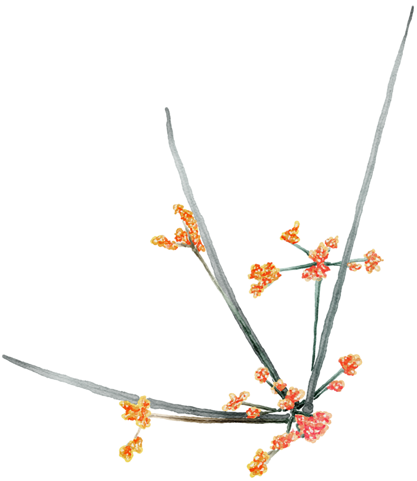 flor acuarela transparencia clipart. png