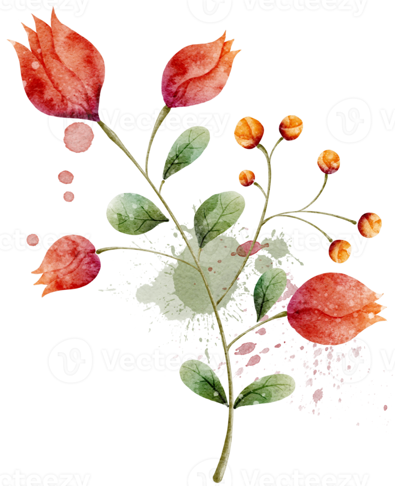 Flower watercolor transparent. 10286161 PNG