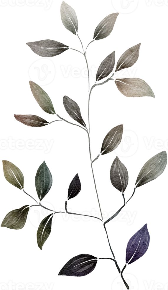 Leaf watercolor transparent. 10286168 PNG