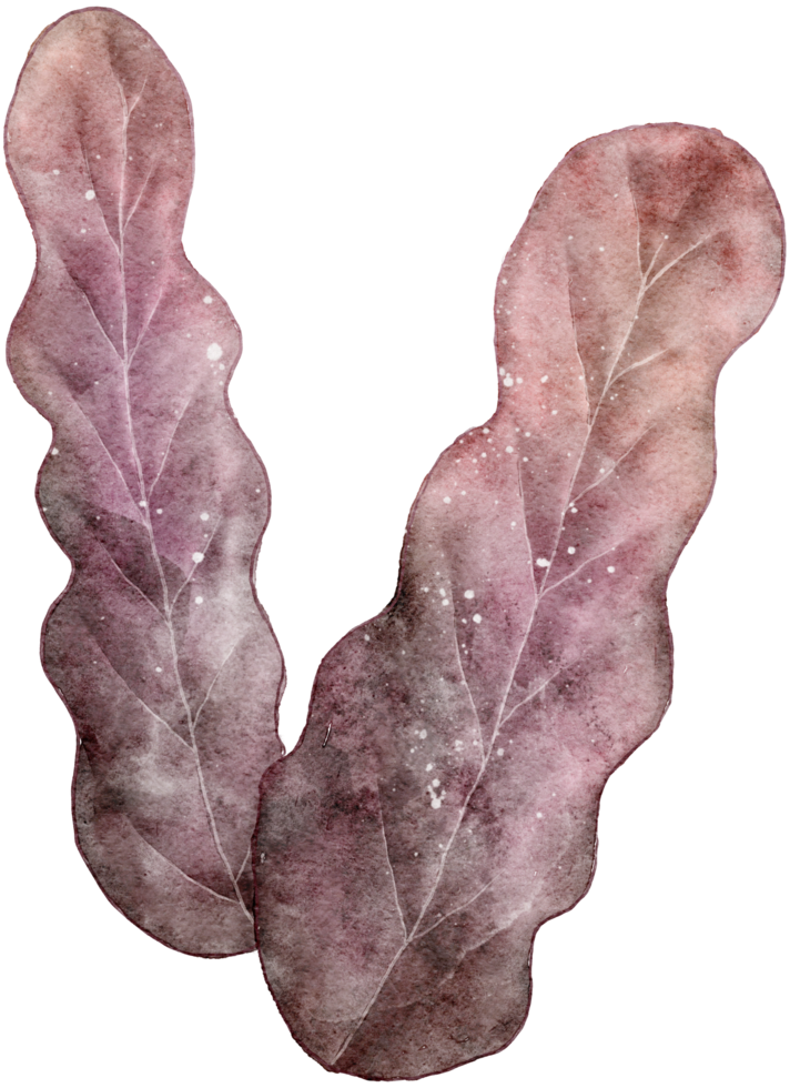 Leaf watercolor transparency. png