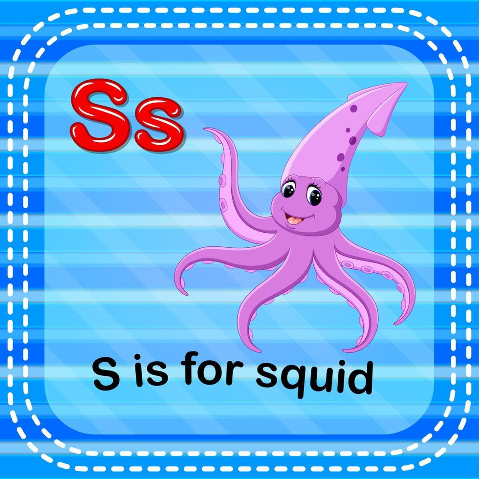 Flashcard letter S is for squid vector