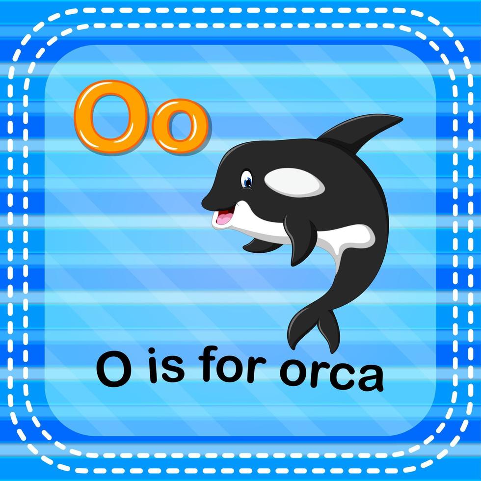 flashcard letra o es para orca vector