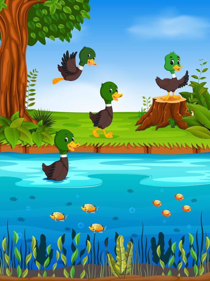 Duck in the river vector