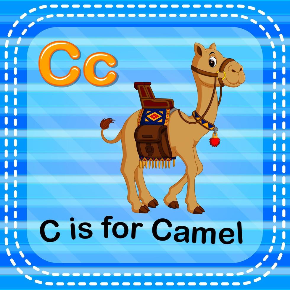 flashcard letra c es para camello vector