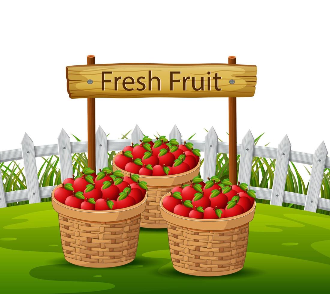 Basket of apples in garden vector