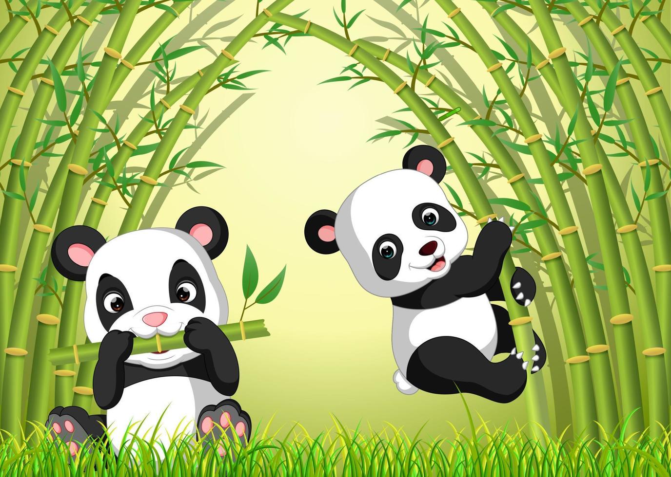 dos lindos pandas en un bosque de bambú vector