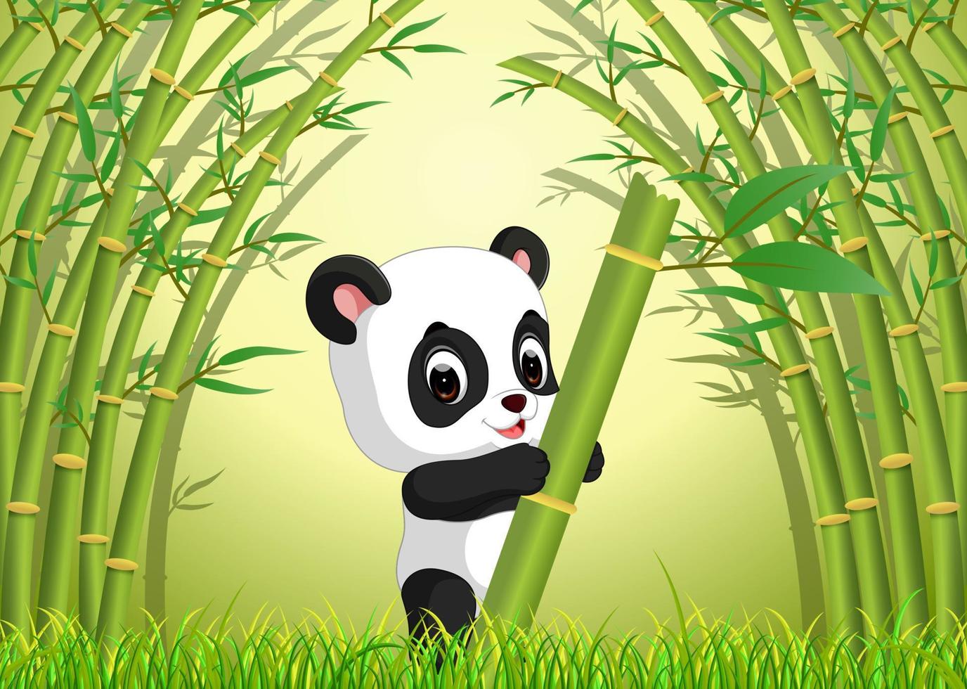 lindo panda en un bosque de bambú vector