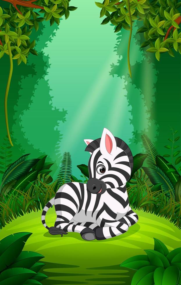 zebra in the clear and green forest vector