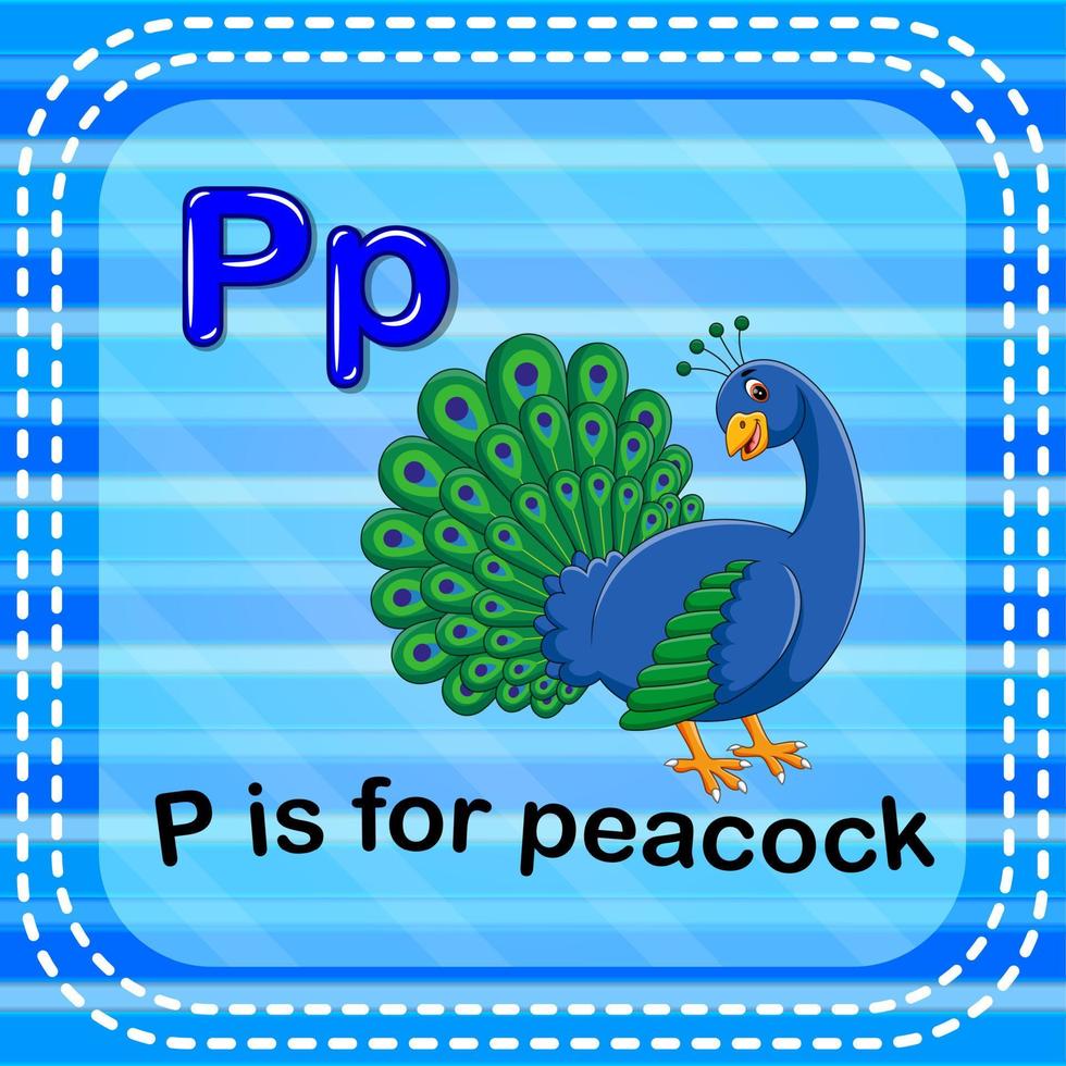 flashcard letra p es para pavo real vector