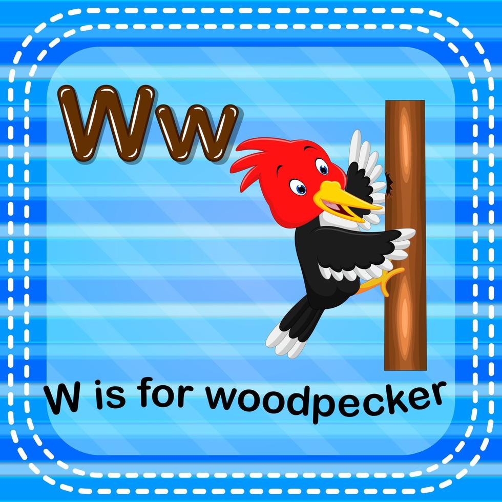 Flashcard letter W is for woodpecker vector