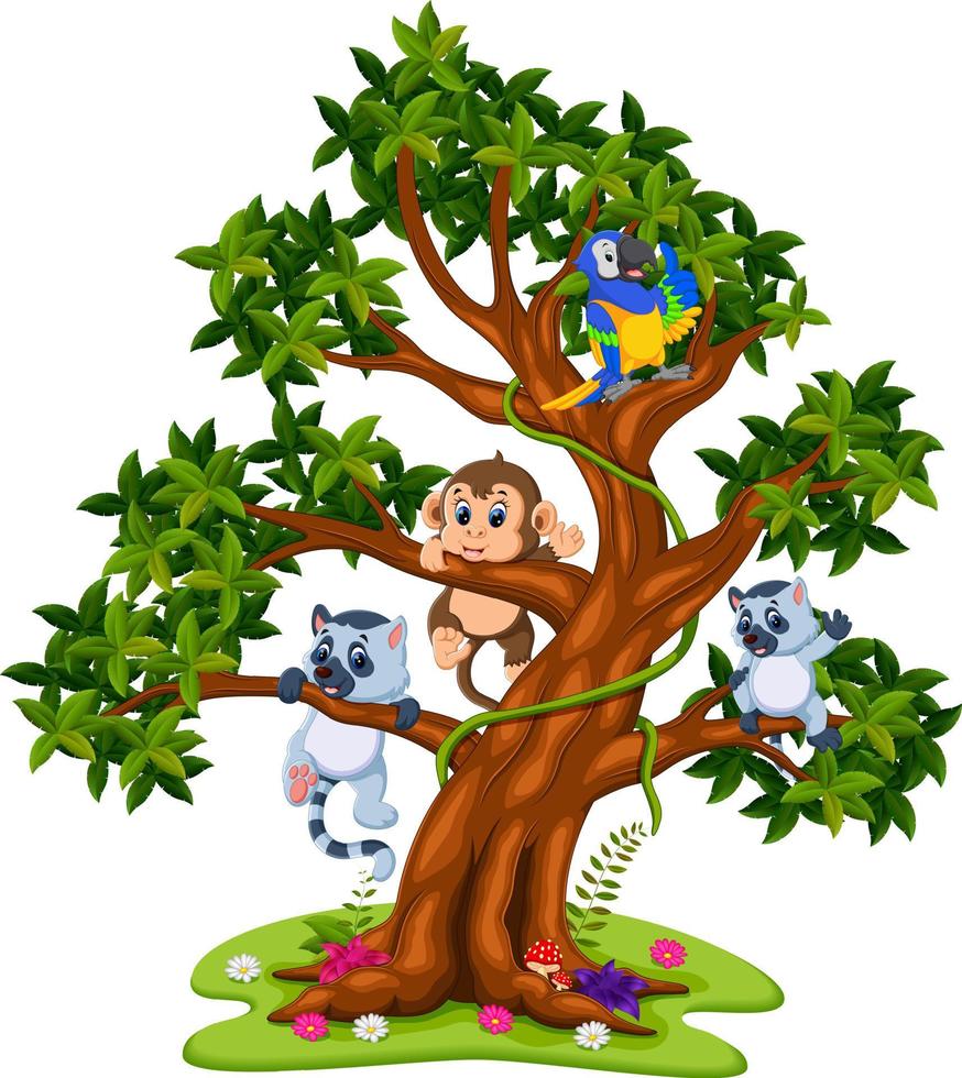 cute baby animal on the tree vector