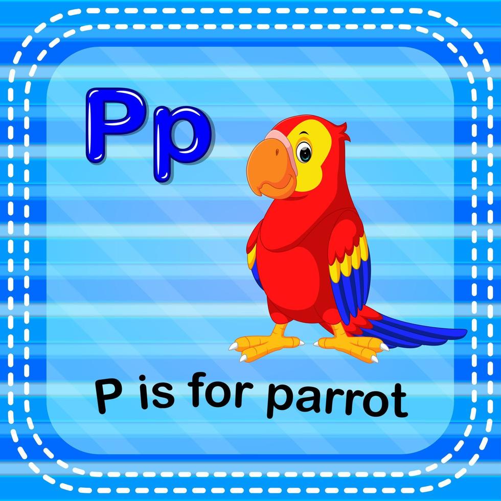 Flashcard letter P is for parrot vector