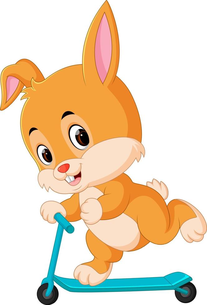 cute rabbit riding a scooter vector