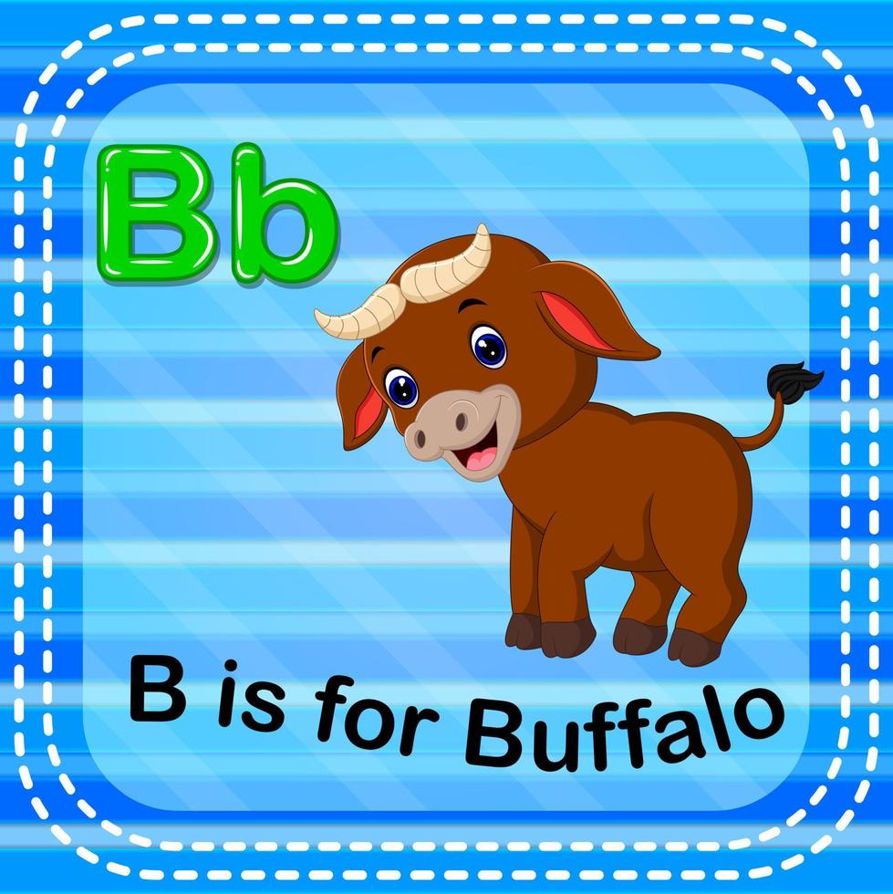flashcard letra b es para búfalo vector