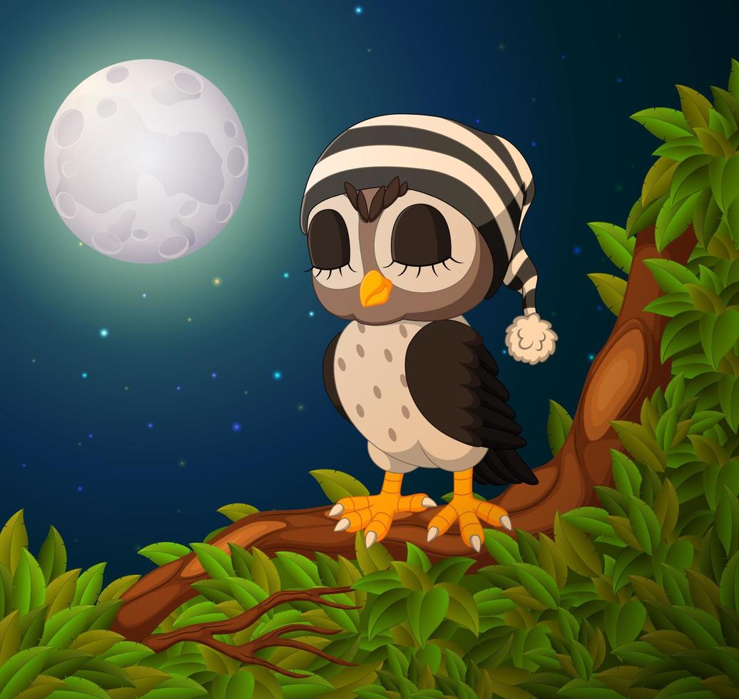 owls on the tree branch in night vector