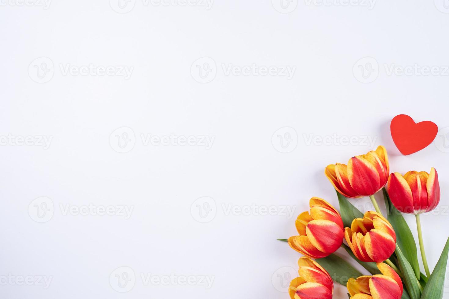 Tulips on white background of copy space, concept of Mother's day. photo