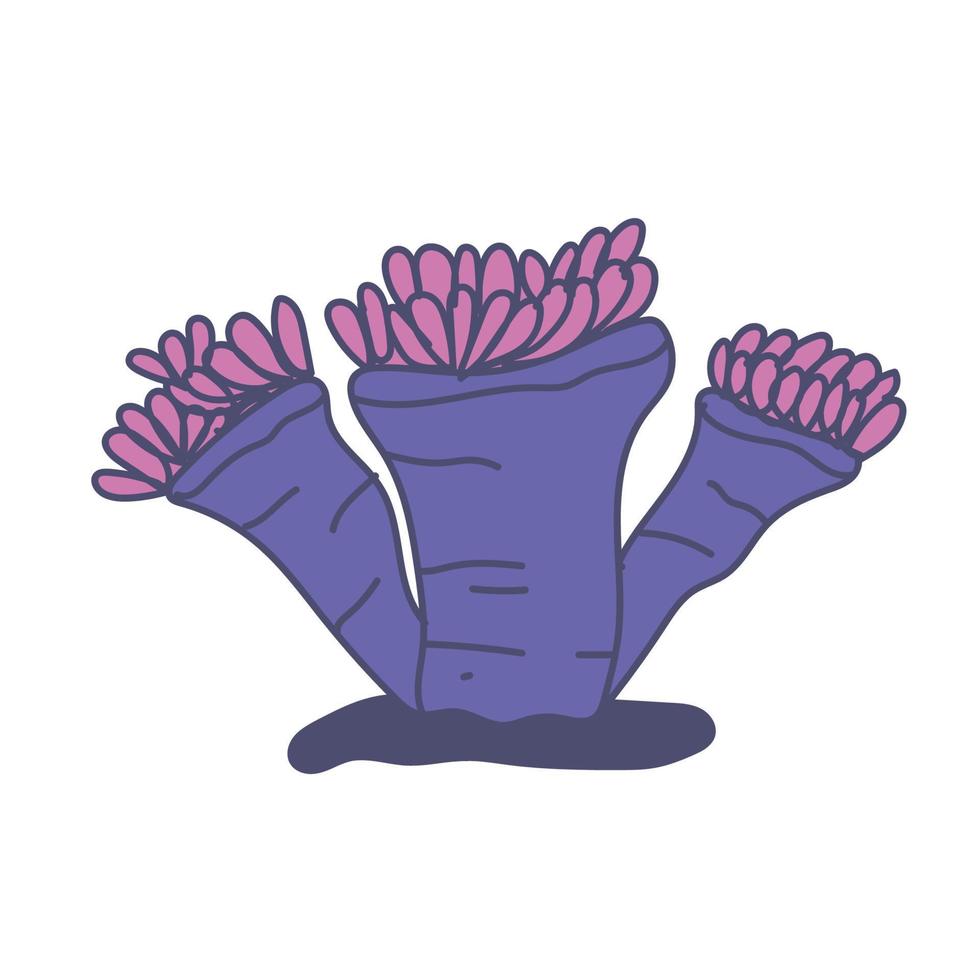 cute seaweed hand drawn vector illustration design element