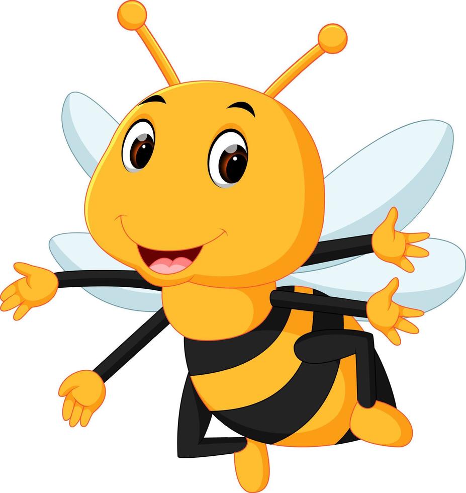 honey bee on a white background vector