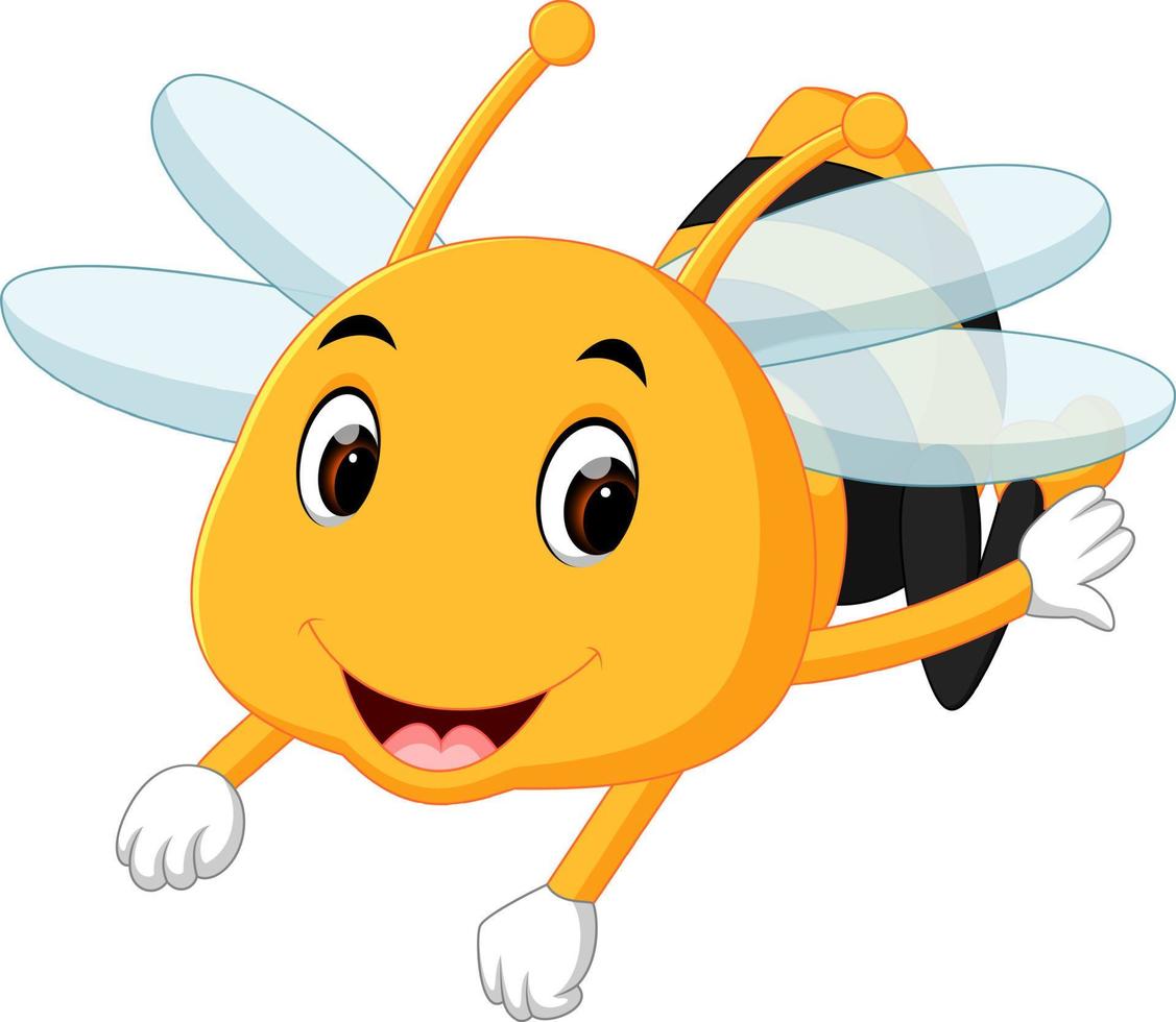 honey bee on a white background vector