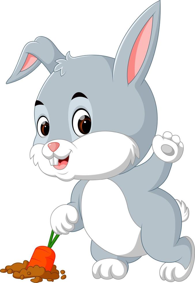 cute rabbit harvest carrot vector
