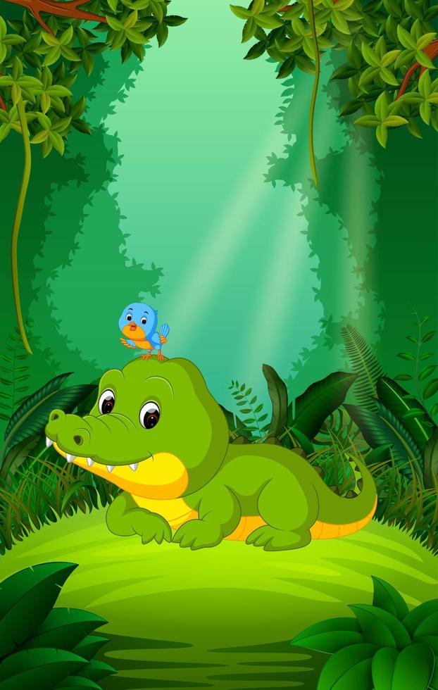 crocodile and bird in the clear and green forest vector