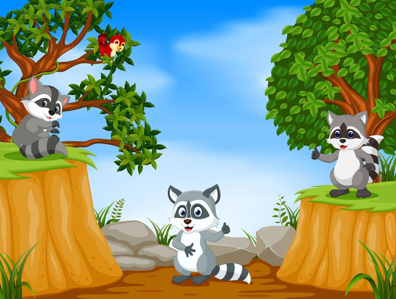 Raccoons with mountain cliff scene vector