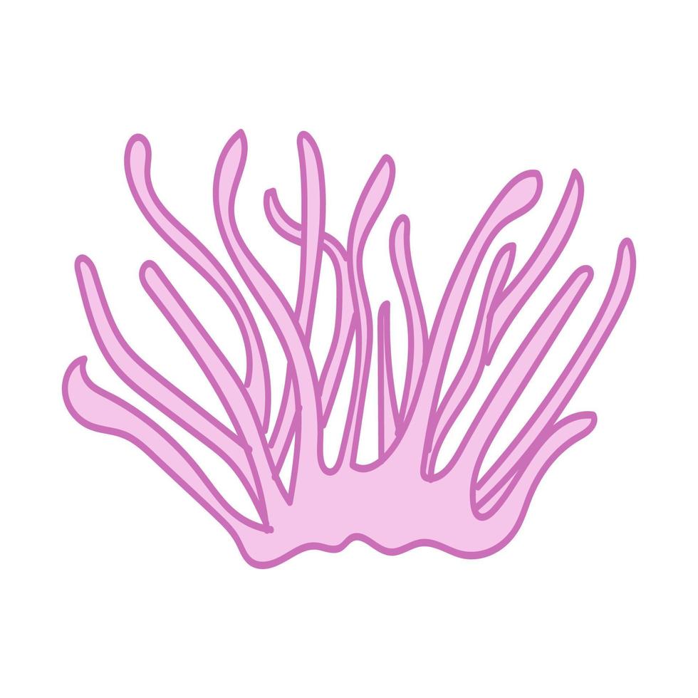 cute seaweed hand drawn vector illustration design element